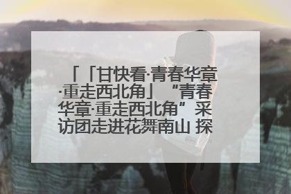 「甘快看·青春华章·重走西北角」“青春华章·重走西北角”采访团走进花舞南山 探寻天水乡村振兴之路