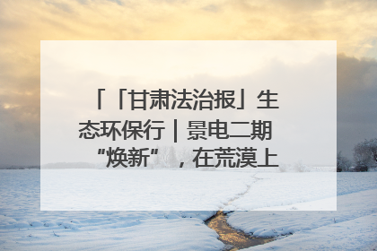 「甘肃法治报」生态环保行｜景电二期“焕新”，在荒漠上筑起一道绿色长城