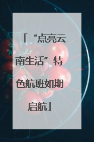“点亮云南生活”特色航班如期启航