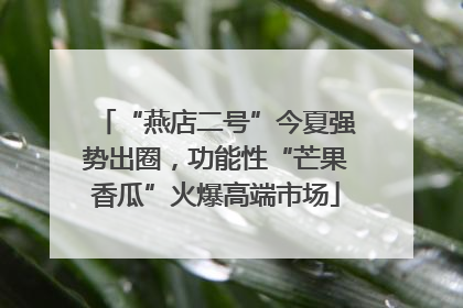 “燕店二号”今夏强势出圈，功能性“芒果香瓜”火爆高端市场