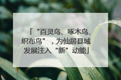 “百灵鸟、啄木鸟、织布鸟”，为仙居县域发展注入“新”动能