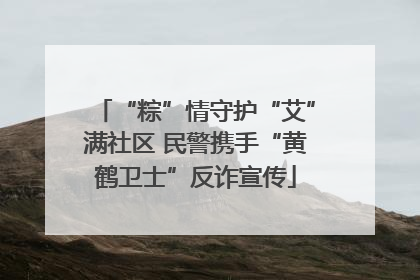 “粽”情守护“艾”满社区 民警携手“黄鹤卫士”反诈宣传