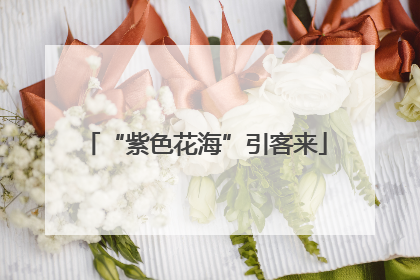 “紫色花海”引客来