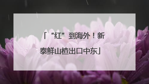 “红”到海外！新泰鲜山楂出口中东
