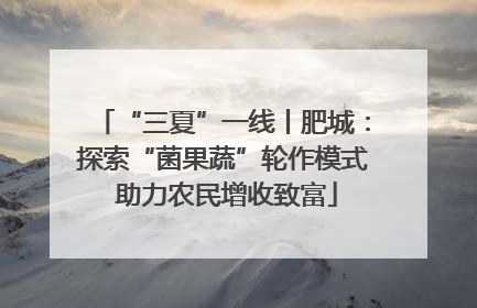 “三夏”一线丨肥城：探索“菌果蔬”轮作模式 助力农民增收致富