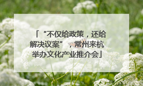 “不仅给政策，还给解决议案”，常州来杭举办文化产业推介会
