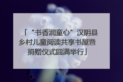 “书香润童心”汉阴县乡村儿童阅读共享书屋暨捐赠仪式圆满举行