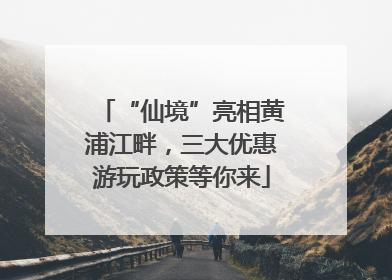 “仙境”亮相黄浦江畔，三大优惠游玩政策等你来
