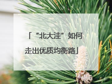 “北大洼”如何走出优质均衡路