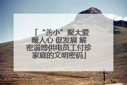 “善小”聚大爱 暖人心 促发展 解密淄博供电员工付珍家庭的文明密码