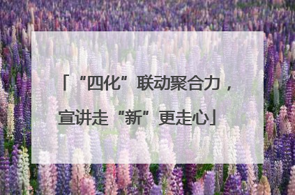 “四化”联动聚合力，宣讲走“新”更走心