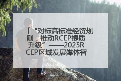 “对标高标准经贸规则，推动RCEP提质升级”——2025RCEP区域发展媒体智库论坛举行专题对话