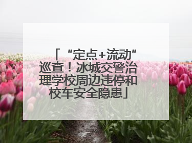 “定点+流动”巡查！冰城交警治理学校周边违停和校车安全隐患