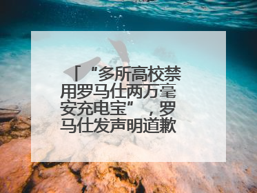 “多所高校禁用罗马仕两万毫安充电宝”，罗马仕发声明道歉：已展开核查