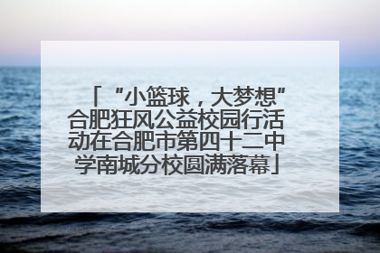 “小篮球，大梦想”合肥狂风公益校园行活动在合肥市第四十二中学南城分校圆满落幕
