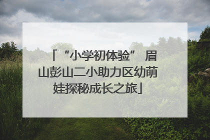 “小学初体验” 眉山彭山二小助力区幼萌娃探秘成长之旅