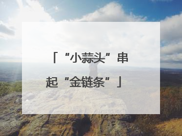 “小蒜头”串起“金链条”