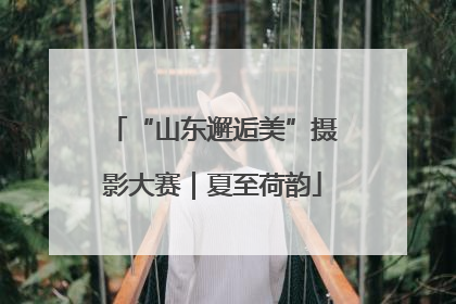 “山东邂逅美”摄影大赛｜夏至荷韵