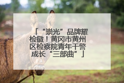 “崇光”品牌耀检徽！黄冈市黄州区检察院青年干警成长“三部曲”