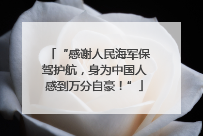 “感谢人民海军保驾护航，身为中国人感到万分自豪！”
