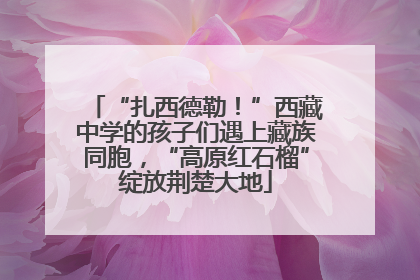 “扎西德勒！”西藏中学的孩子们遇上藏族同胞，“高原红石榴”绽放荆楚大地