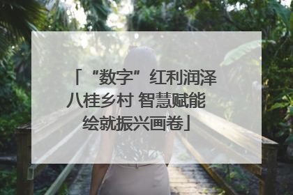 “数字”红利润泽八桂乡村 智慧赋能绘就振兴画卷