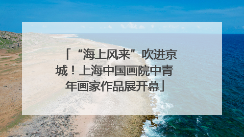 “海上风来”吹进京城！上海中国画院中青年画家作品展开幕