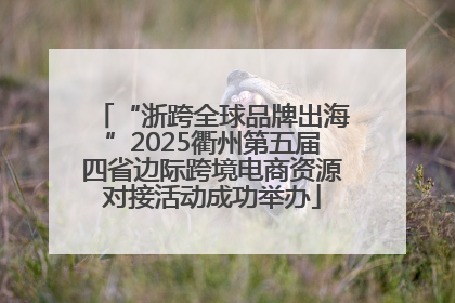 “浙跨全球品牌出海”2025衢州第五届四省边际跨境电商资源对接活动成功举办