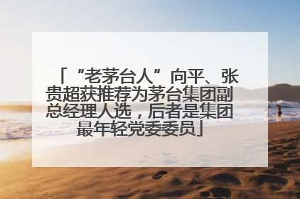“老茅台人”向平、张贵超获推荐为茅台集团副总经理人选，后者是集团最年轻党委委员