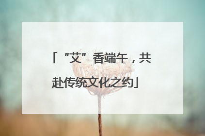 “艾”香端午，共赴传统文化之约