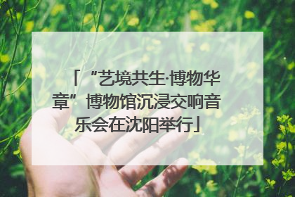 “艺境共生·博物华章”博物馆沉浸交响音乐会在沈阳举行
