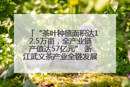 “茶叶种植面积达12.5万亩，全产业链产值达57亿元” 浙江武义茶产业全链发展“加速度”