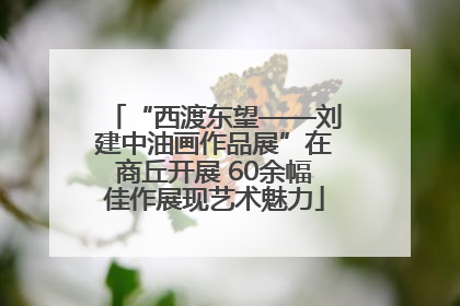 “西渡东望——刘建中油画作品展”在商丘开展 60余幅佳作展现艺术魅力