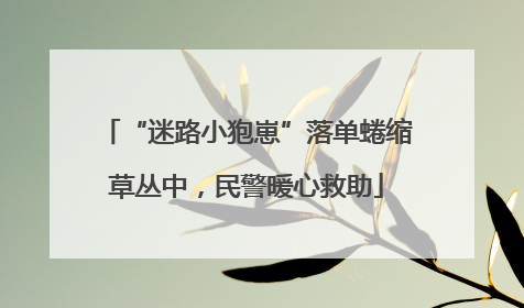 “迷路小狍崽”落单蜷缩草丛中，民警暖心救助