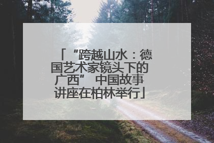 “跨越山水：德国艺术家镜头下的广西” 中国故事讲座在柏林举行