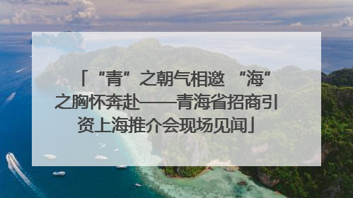 “青”之朝气相邀 “海”之胸怀奔赴——青海省招商引资上海推介会现场见闻