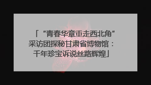 “青春华章重走西北角”采访团探秘甘肃省博物馆：千年珍宝诉说丝路辉煌