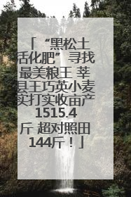 “黑松土 活化肥”寻找最美粮王 莘县王巧英小麦实打实收亩产1515.4斤 超对照田144斤！