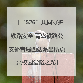 “526”共同守护铁路安全 青岛铁路公安处青岛西站派出所点亮校园爱路之光