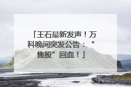 王石最新发声！万科晚间突发公告：“售股”回血！
