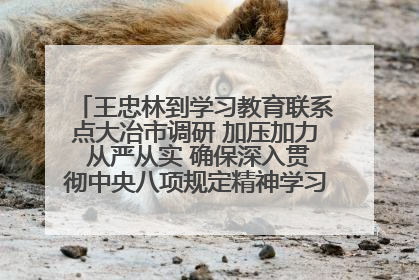 王忠林到学习教育联系点大冶市调研 加压加力 从严从实 确保深入贯彻中央八项规定精神学习教育取得实效
