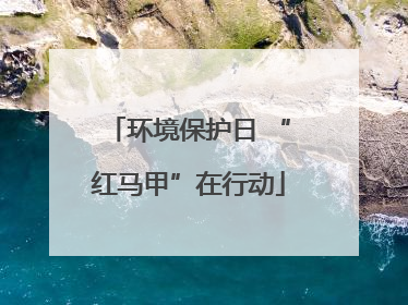 环境保护日 “红马甲”在行动
