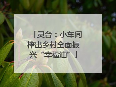 灵台：小车间榨出乡村全面振兴“幸福油”