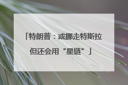 特朗普：或挪走特斯拉 但还会用“星链”