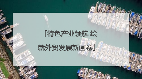 特色产业领航 绘就外贸发展新画卷