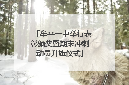 牟平一中举行表彰颁奖暨期末冲刺动员升旗仪式