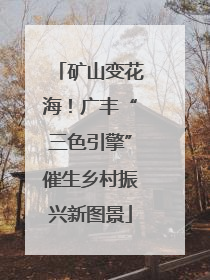 矿山变花海！广丰“三色引擎”催生乡村振兴新图景