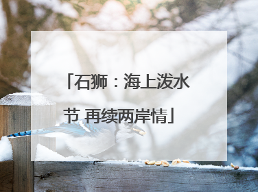 石狮：海上泼水节 再续两岸情