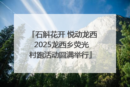 石斛花开 悦动龙西 2025龙西乡荧光村跑活动圆满举行