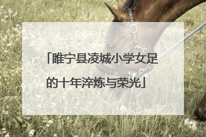 睢宁县凌城小学女足的十年淬炼与荣光